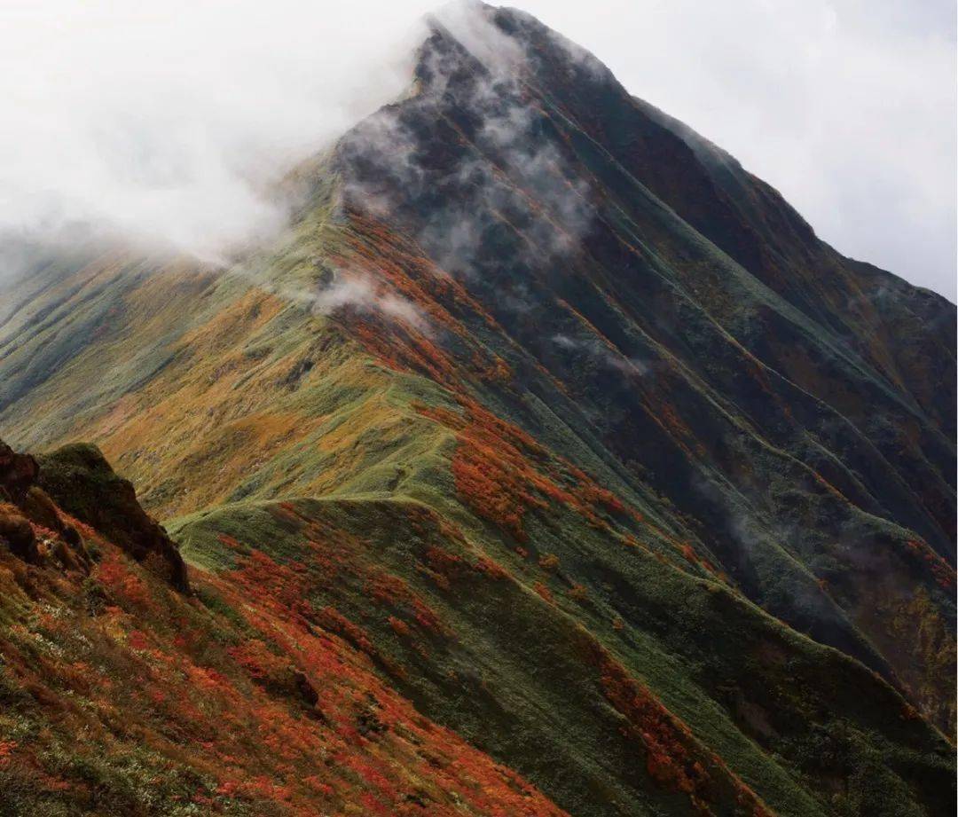 口袋 舒适又时髦的出行搭配指南