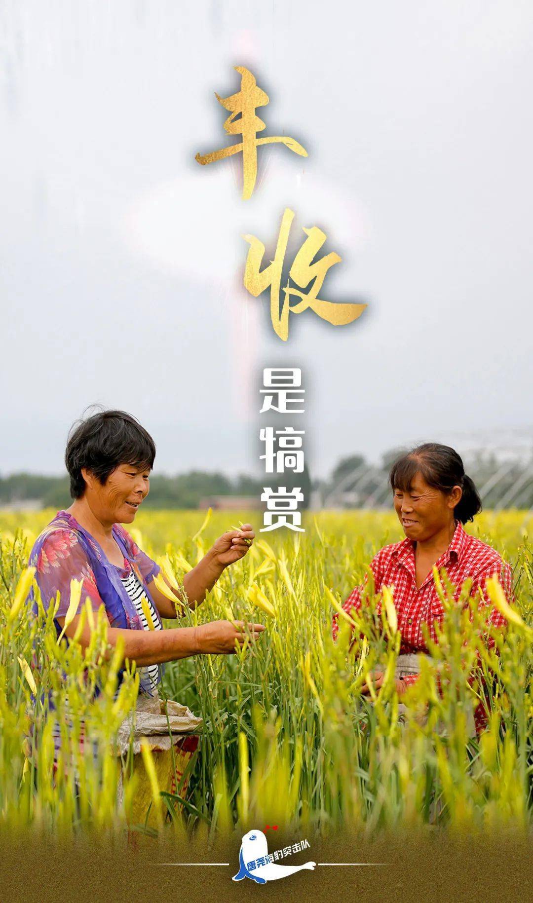中国农民丰收节海报喜笑颜开迎丰收