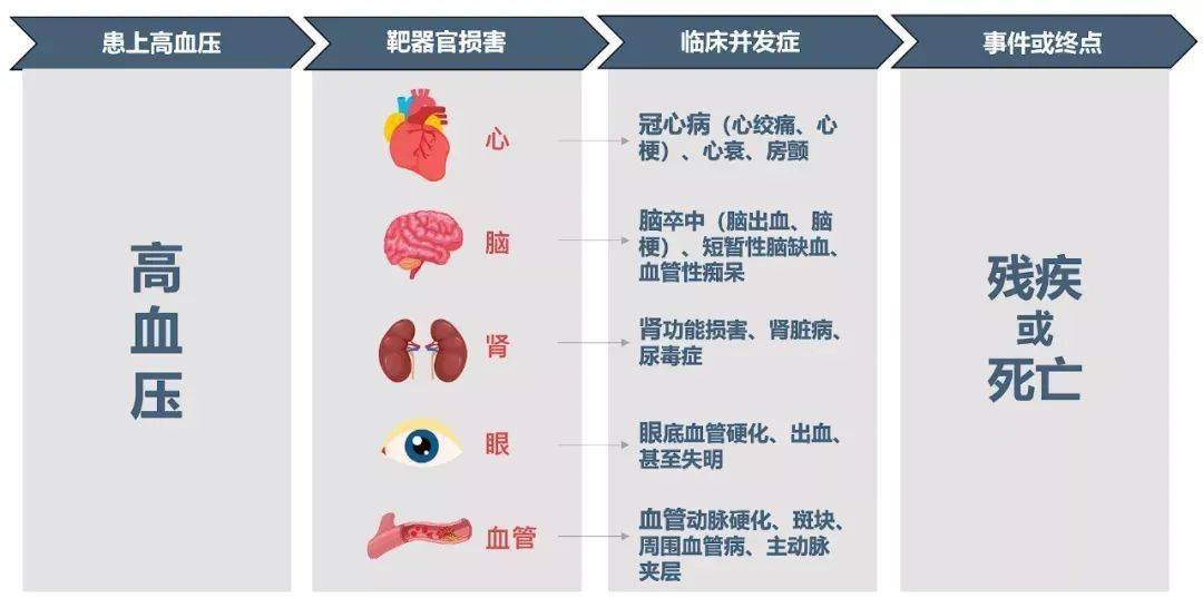 高血压对心,脑,肾的残害,您要了解下.