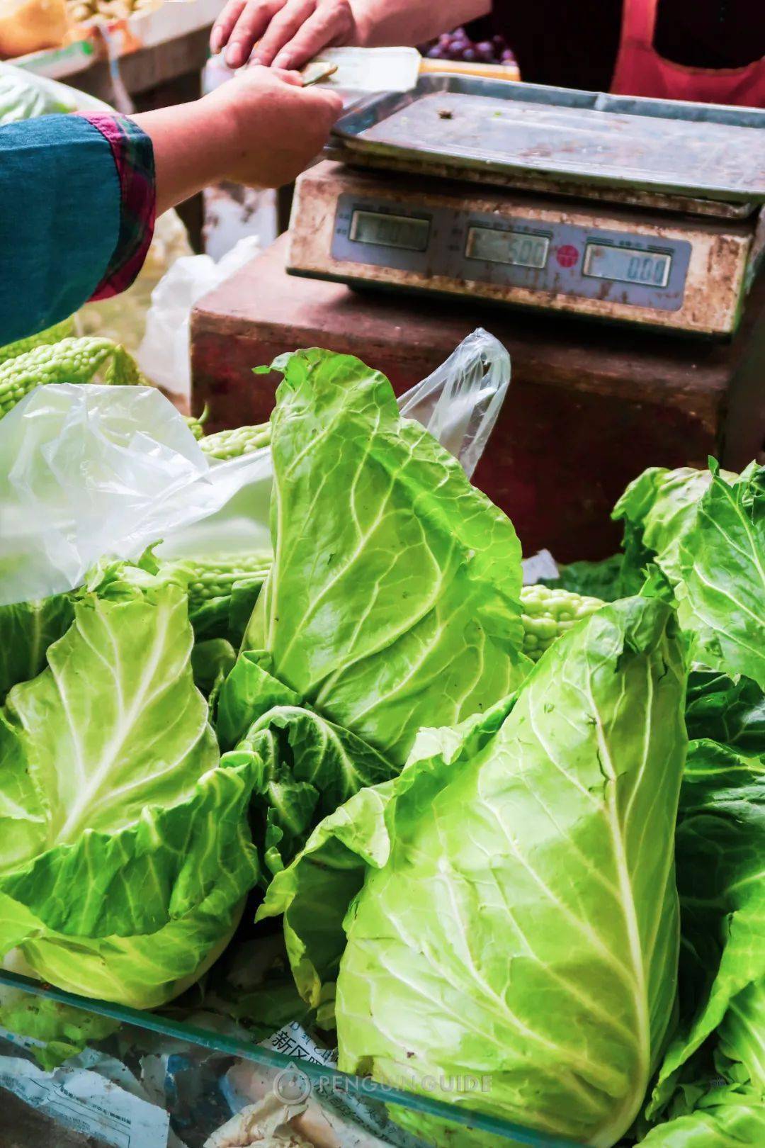 全 国 秋 天 神 仙 菜 市 场 大 赏