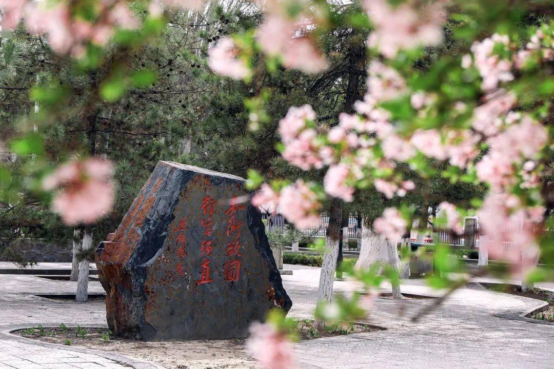 西北师范大学120周年校庆标识logo设计征集启事