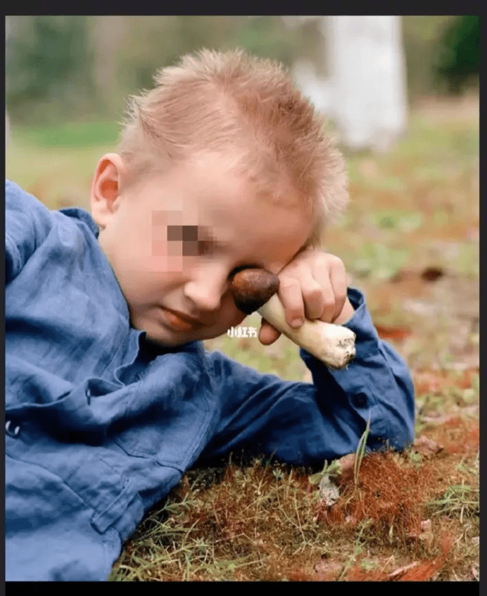 图案 欢迎来到地狱?江南布衣请放过孩子