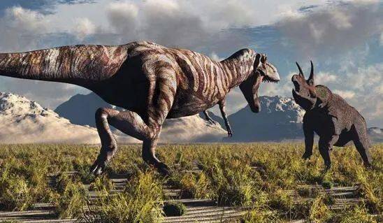 一只想变成霸王龙的三角龙.