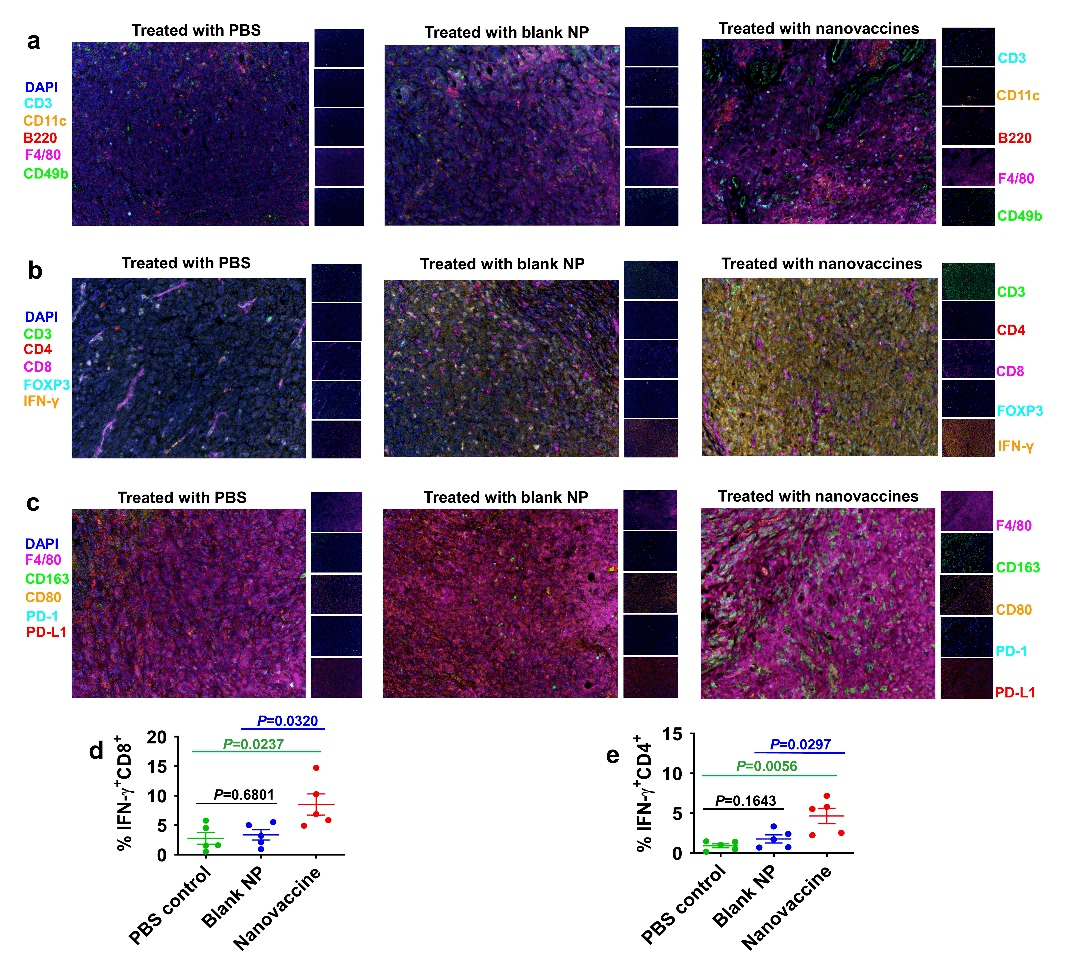 cd11c 来自搜狐网