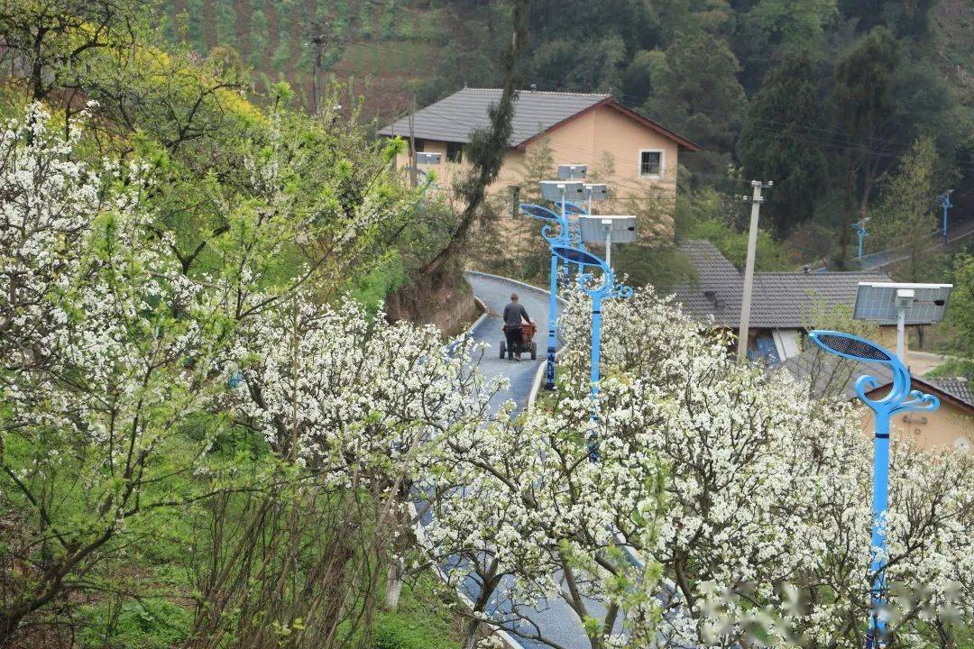 五宝丨这边"丰"景独美_五宝镇