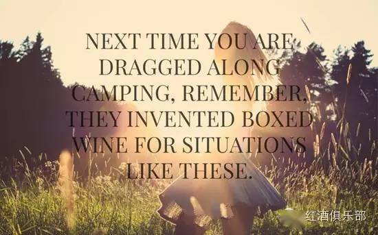 什么|葡萄酒爱好者的日常