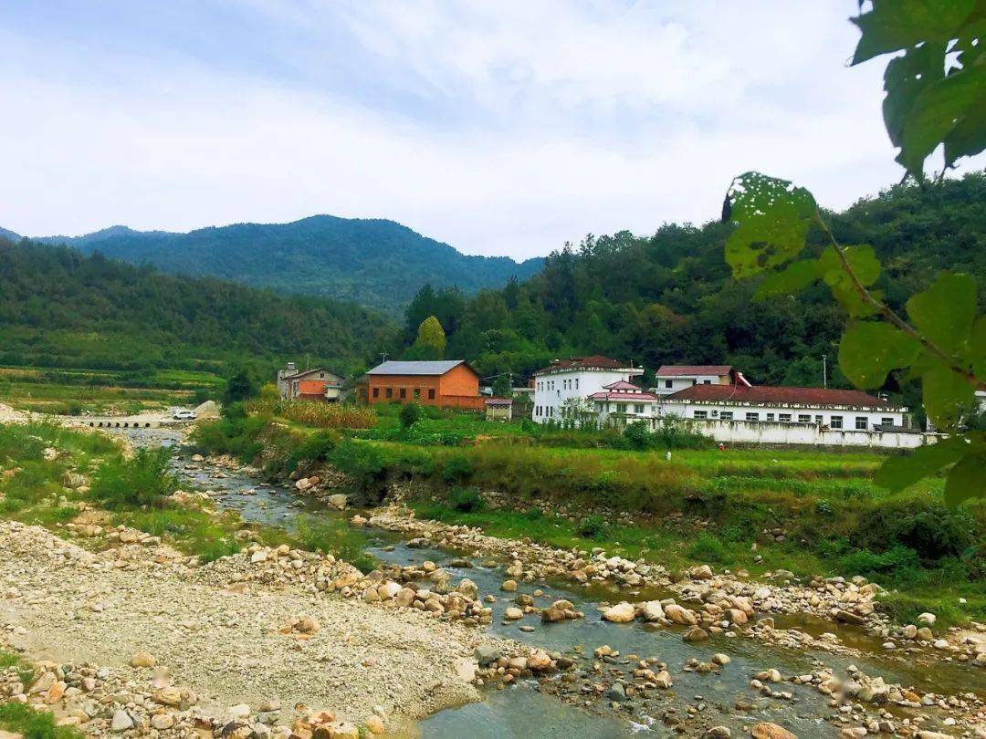 调研组一行深入我县青峰镇,万峪乡,窑淮镇,化龙堰镇等实地察看我县