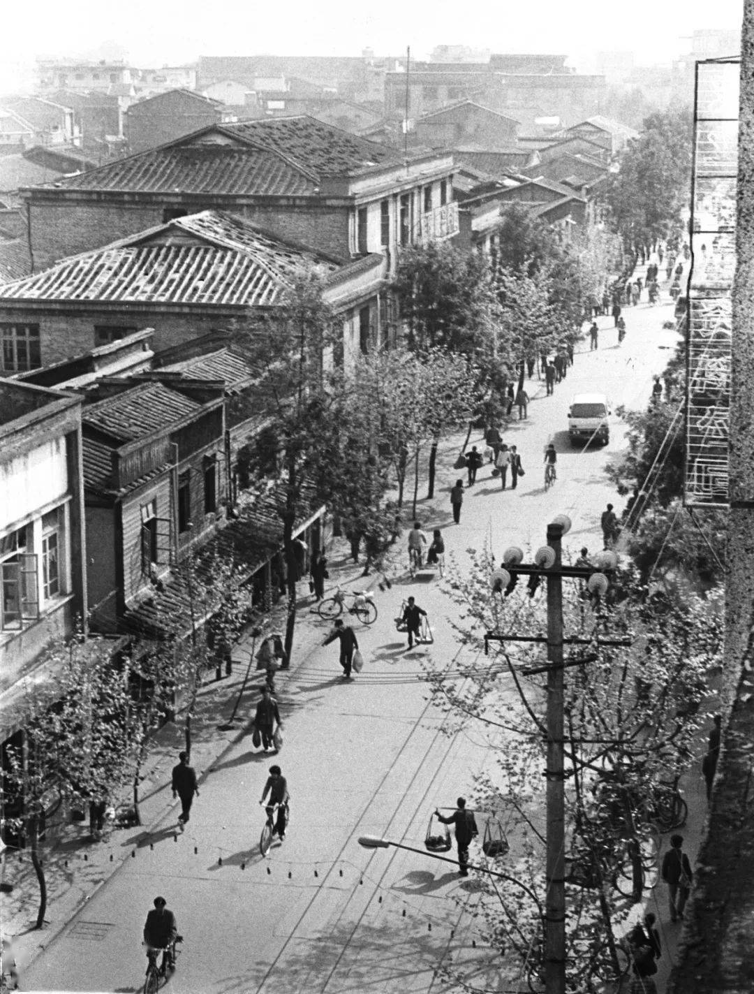 沙县道路增添新"成员",116条道路,38条街巷.