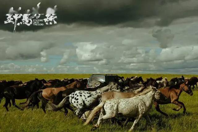 青年|三入戛纳，这奇迹他究竟如何做到？