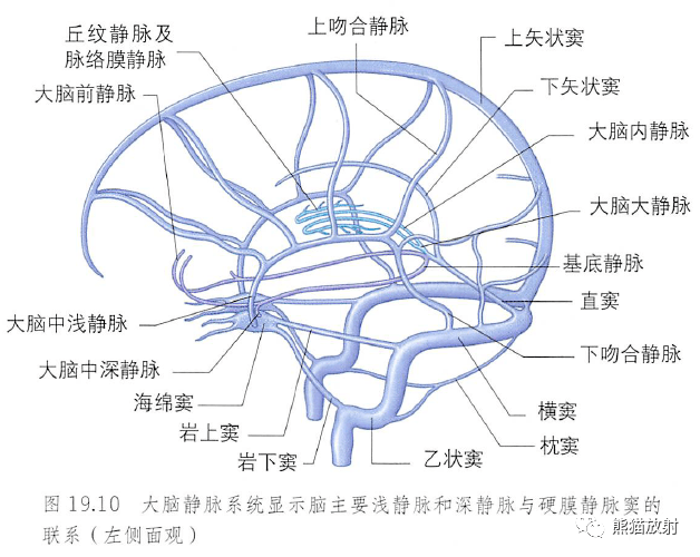 927adf1363af4659b4cc5659467d3b0b.png