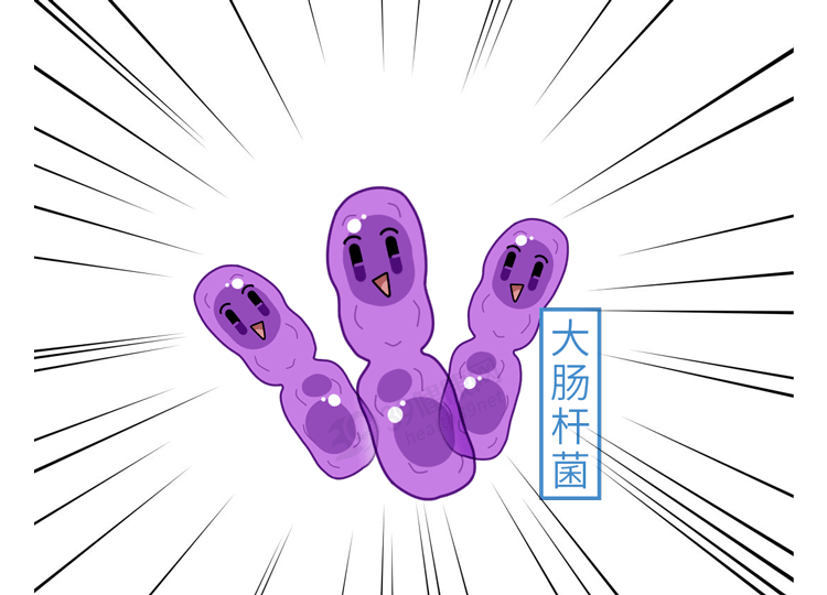 大肠杆菌是细菌吗 来自搜狐网