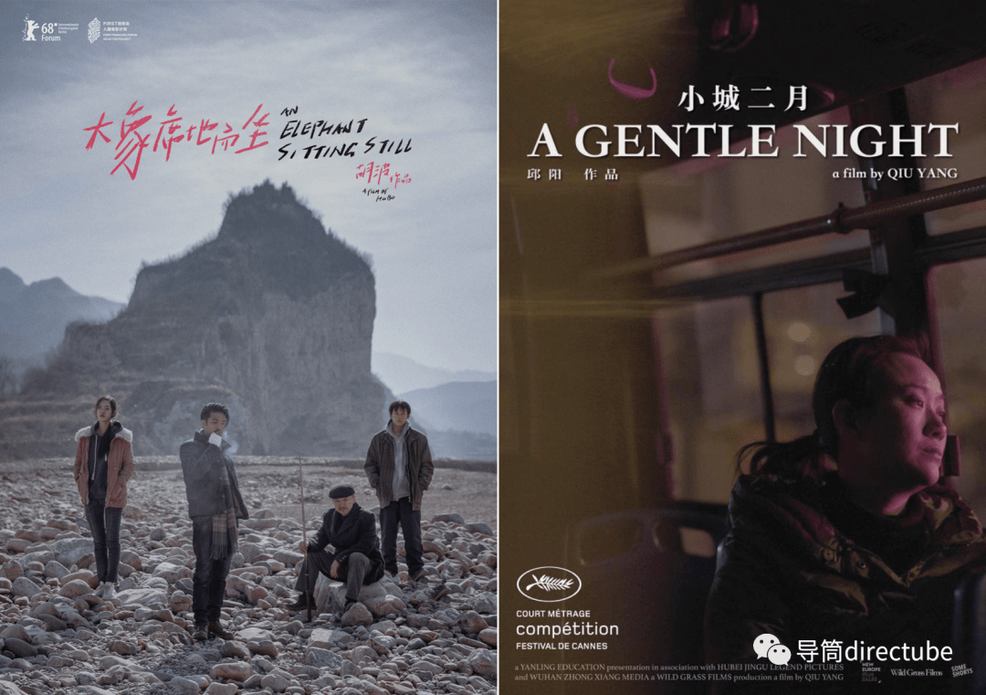 侯孝贤|金马电影学院成“男性俱乐部”，“12:0”男女学员性别比遭强烈质疑