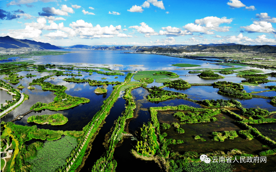 新闻发布会 | 生物多样,生态多美!