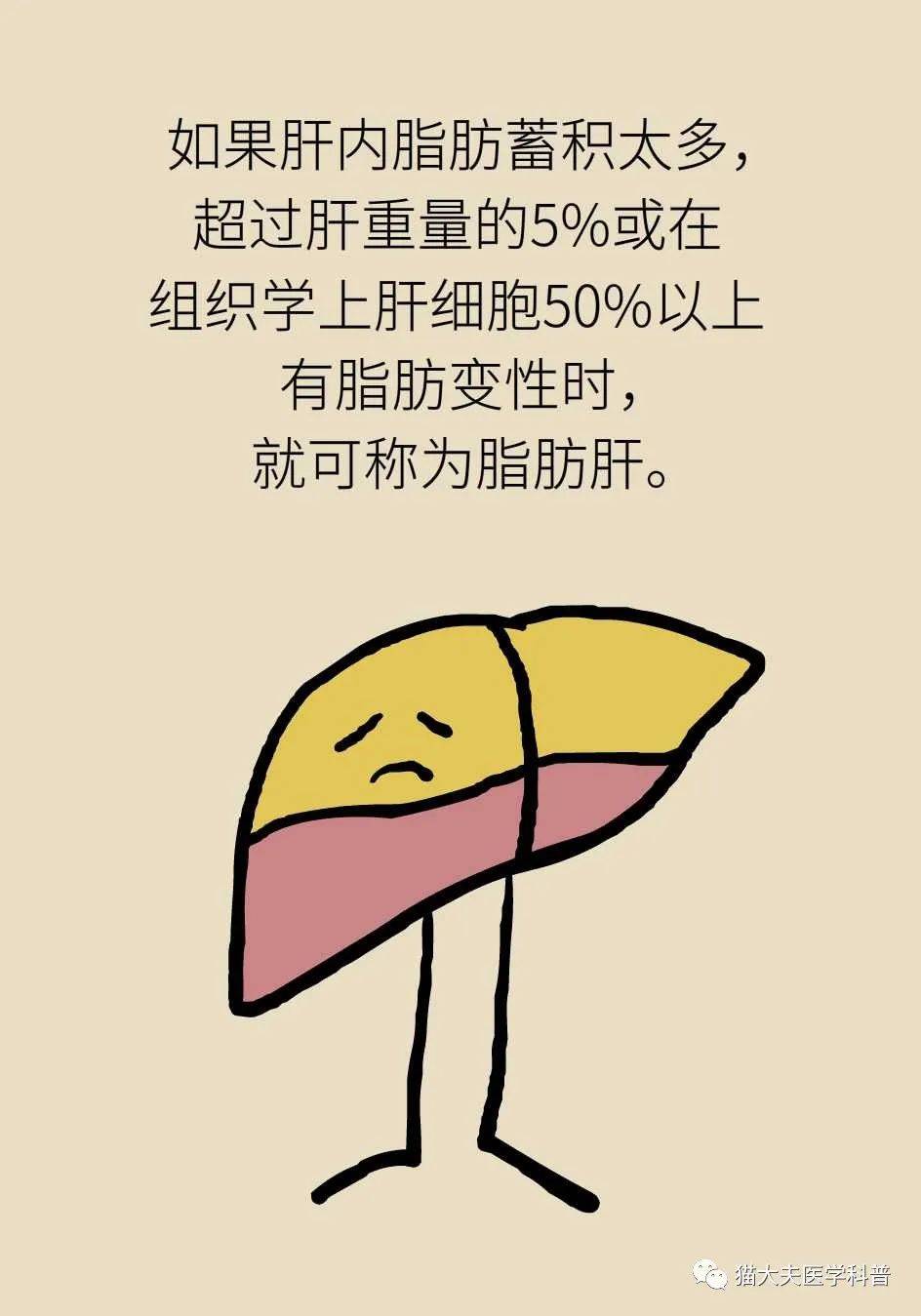 营养|得了脂肪肝不用吃药，做好这件事就行