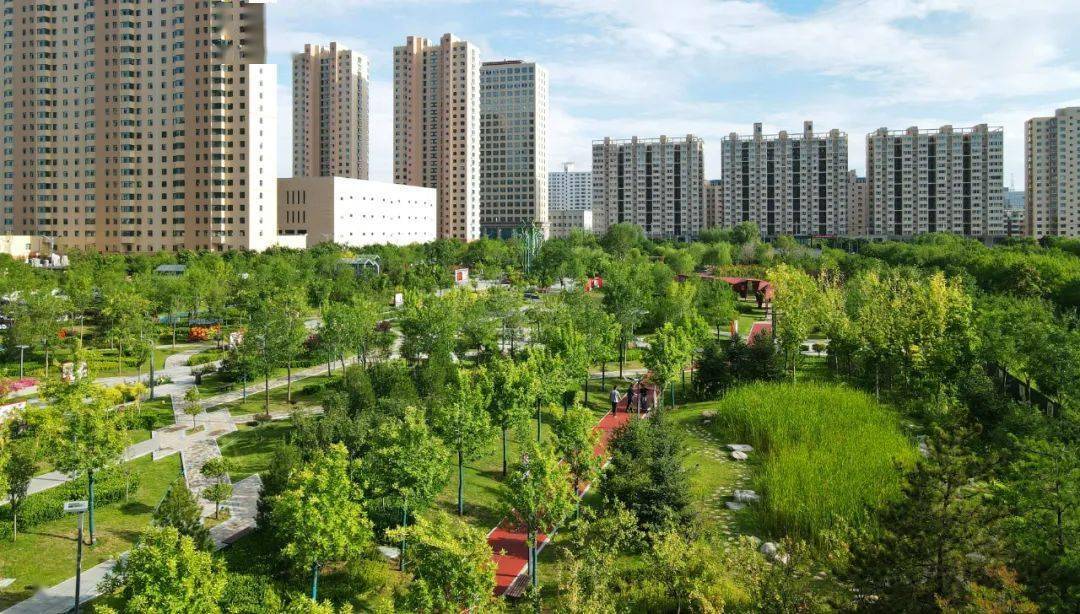 忻州市区满眼绿色.张存良 摄