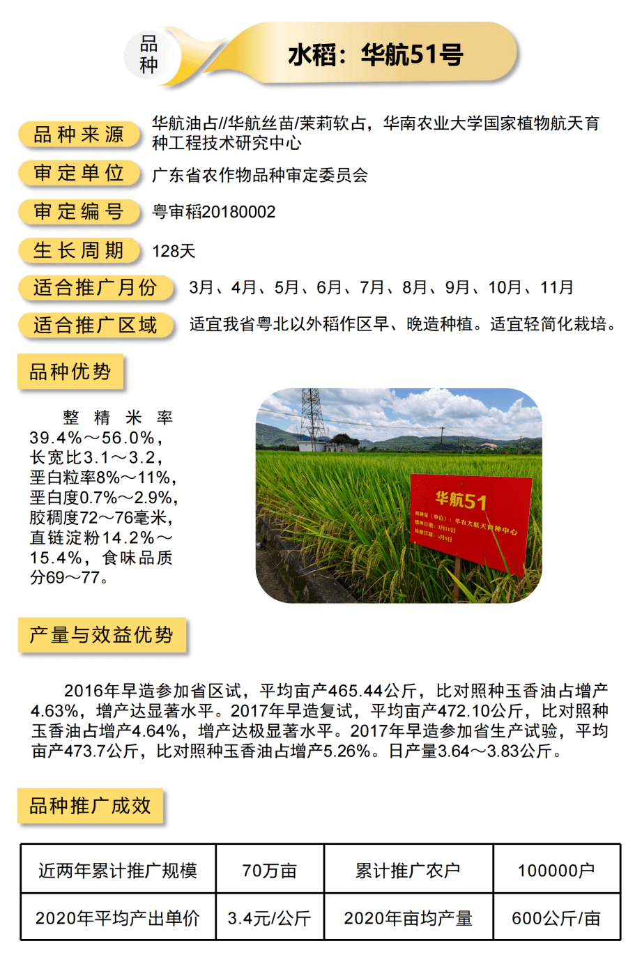 水稻y两优1173水稻象牙香占下一期,农业君将介绍主导品种玉米,花生
