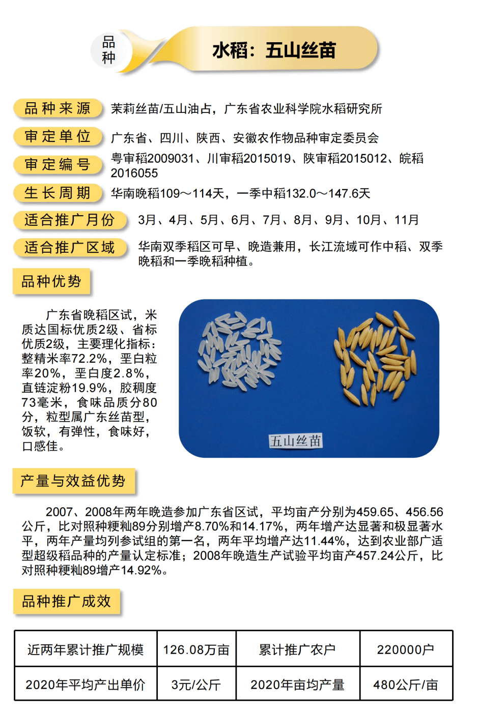 苗稻6号水稻品种备案图片