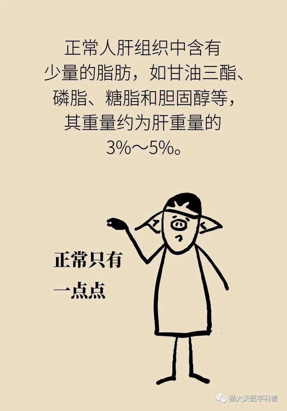 营养|得了脂肪肝不用吃药，做好这件事就行