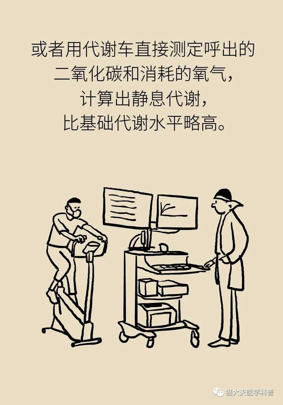 代谢|长胖是因为代谢变慢了？代谢表示不背这个锅