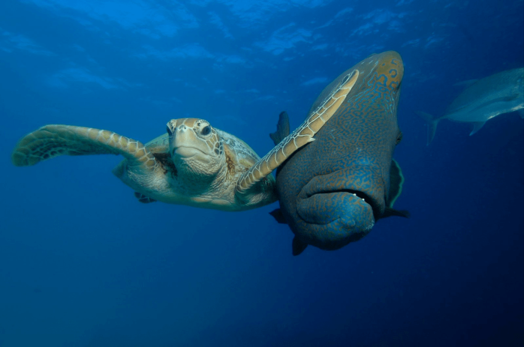 什么才叫正经 33a0ac2a5150436c82594827e2ec25bb.png