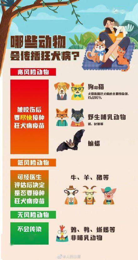 News|病死率几乎100%！关于狂犬病，这些你要知道