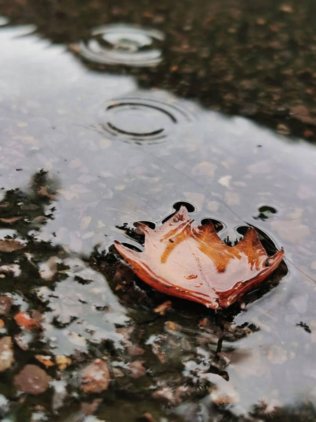 秋天的第一場雨你想和誰一起淋