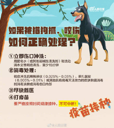 疫苗|狂犬病病死率几乎100%！关于狂犬病，这些你要知道