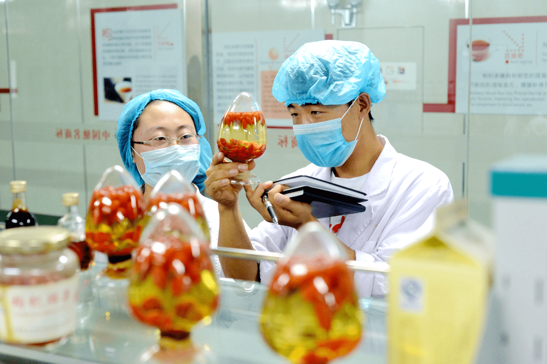 百瑞源枸杞科研团队在进行产品研发
