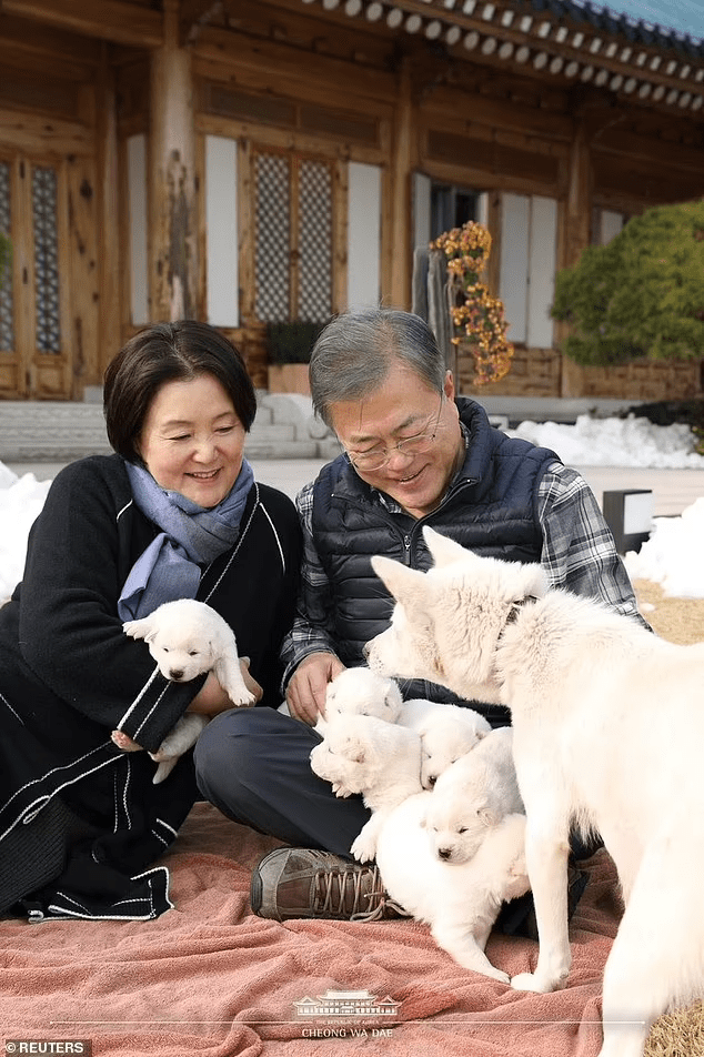 韓國總統文在寅建議全國禁食狗肉，稱終結傳統「時機已到」 國際 第1張