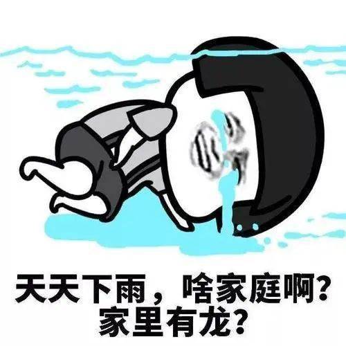 忆雨表情包图片