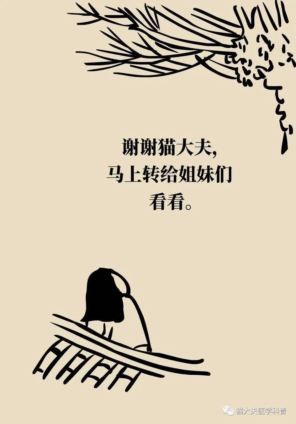 代谢|长胖是因为代谢变慢了？代谢表示不背这个锅