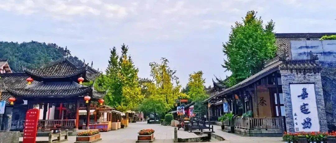 大佛脚下的慢生活丨为生活增添一点仪式感_旅行