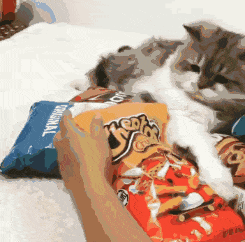 漂亮|每日一笑,?像不像和老婆吵架的你?