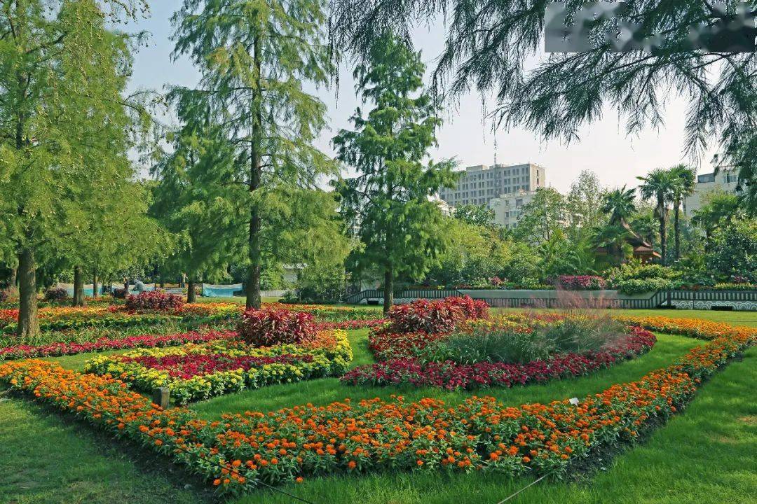 上海植物园秋季花展 | 10月1日开幕,与你一同捕捉秋天的影子