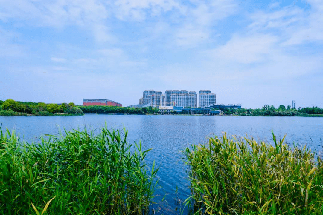 效果图曝光文翰真要来了另江涛路银海街东沙湖有何进展官方回复了