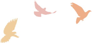 产品|速看！吴忠有款葡萄酒荣获“中国酒业·2021年度最具代理价值产品”