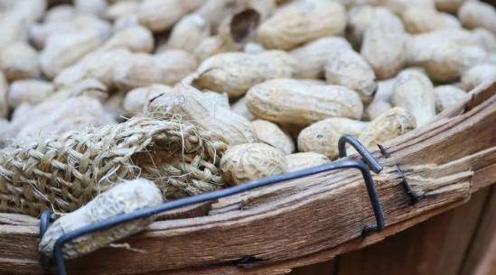 范志红|每天几粒花生能帮助预防中风？赶紧告诉爸妈