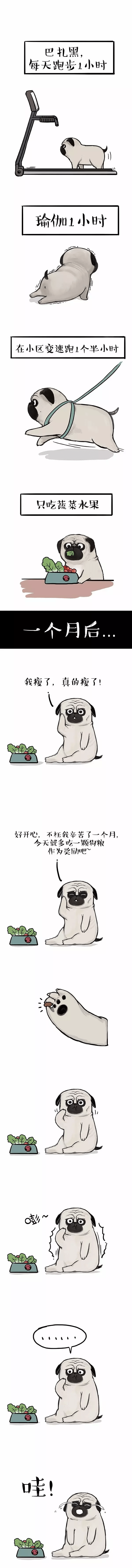 巴扎|巴扎黑：我最受不了的事情，就是瘦不了（漫画）