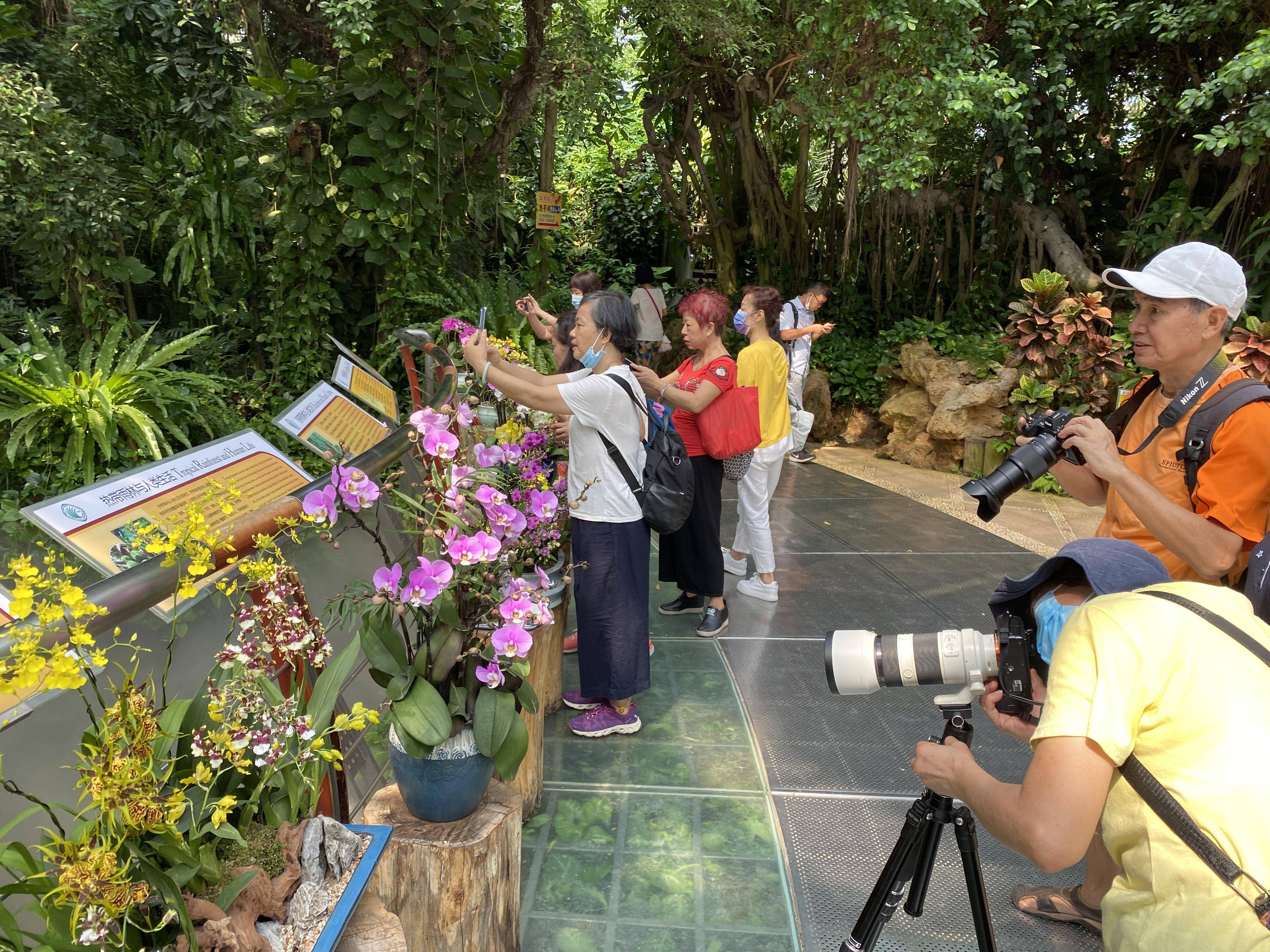 手机|国庆韶关兰花展走进广州华南植物园！数千株兰花娇艳惹人醉