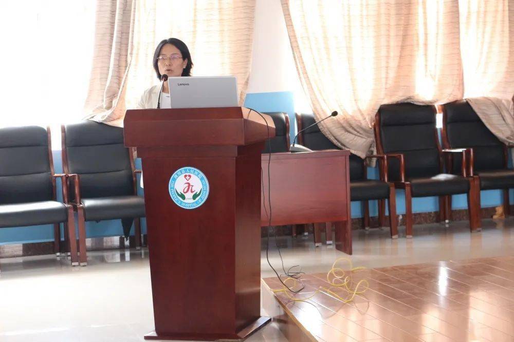 医疗帮扶队队长王玲洁对帮扶工作作总结;帮扶队员就医疗帮扶工作进行