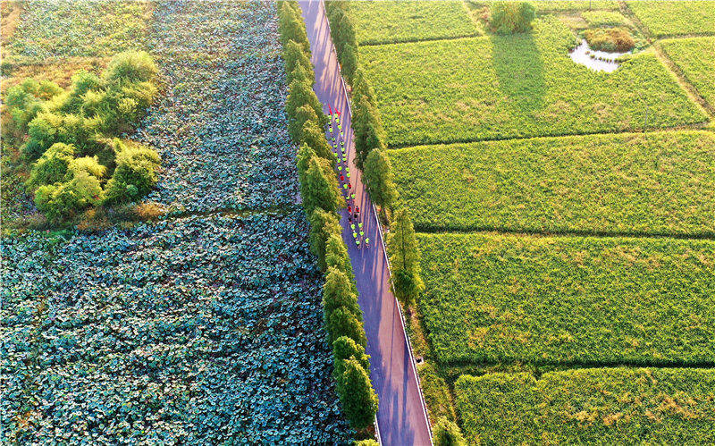 庆国庆快乐跑 吉水 庆国庆快乐跑 吉水