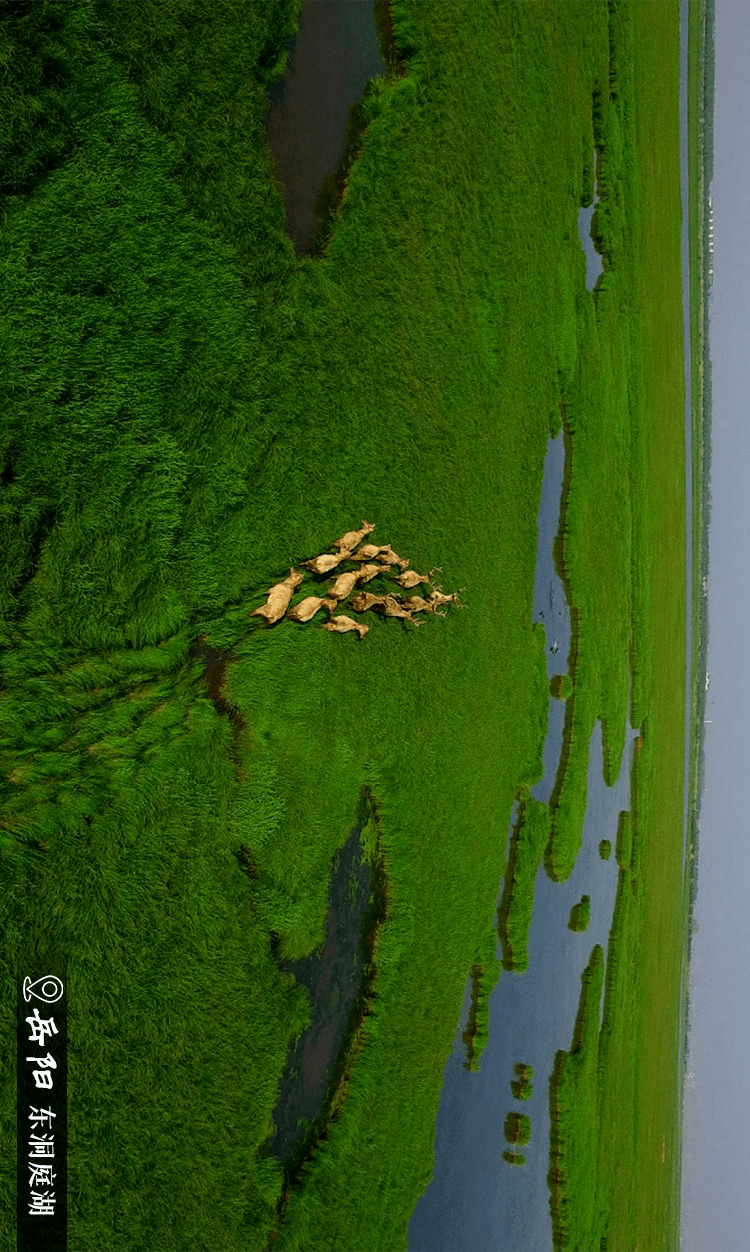 福利|今天！飞越湖南，祝祖国生日快乐！