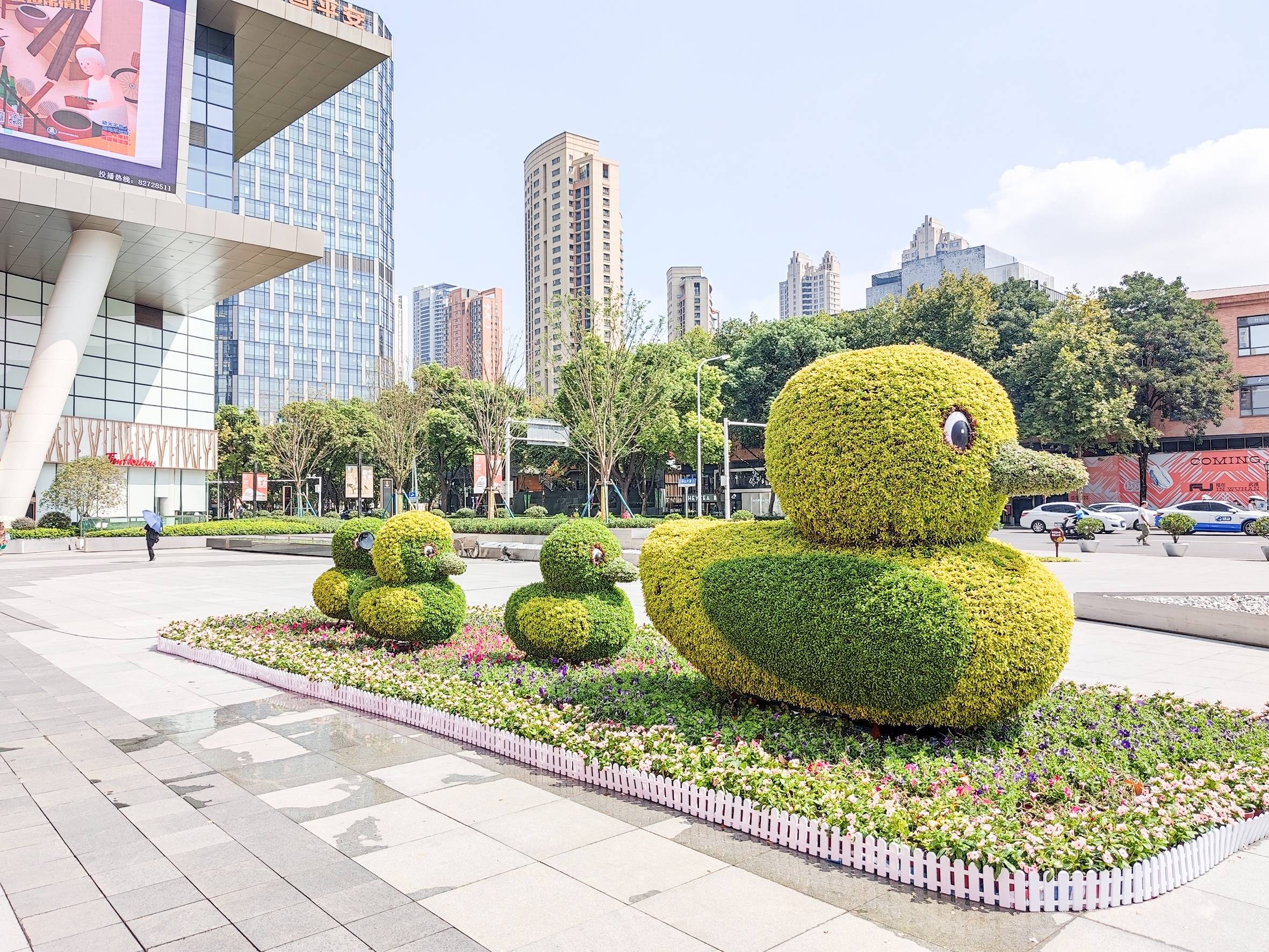 街头巷尾,重点地标和景区广场摇曳花姿倩影,空气中飘荡着淡淡花香.