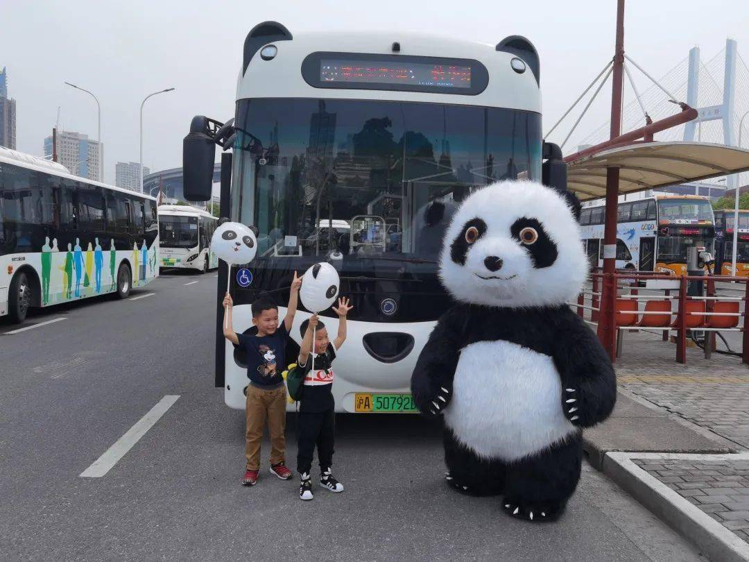 都江堰公交熊猫图片