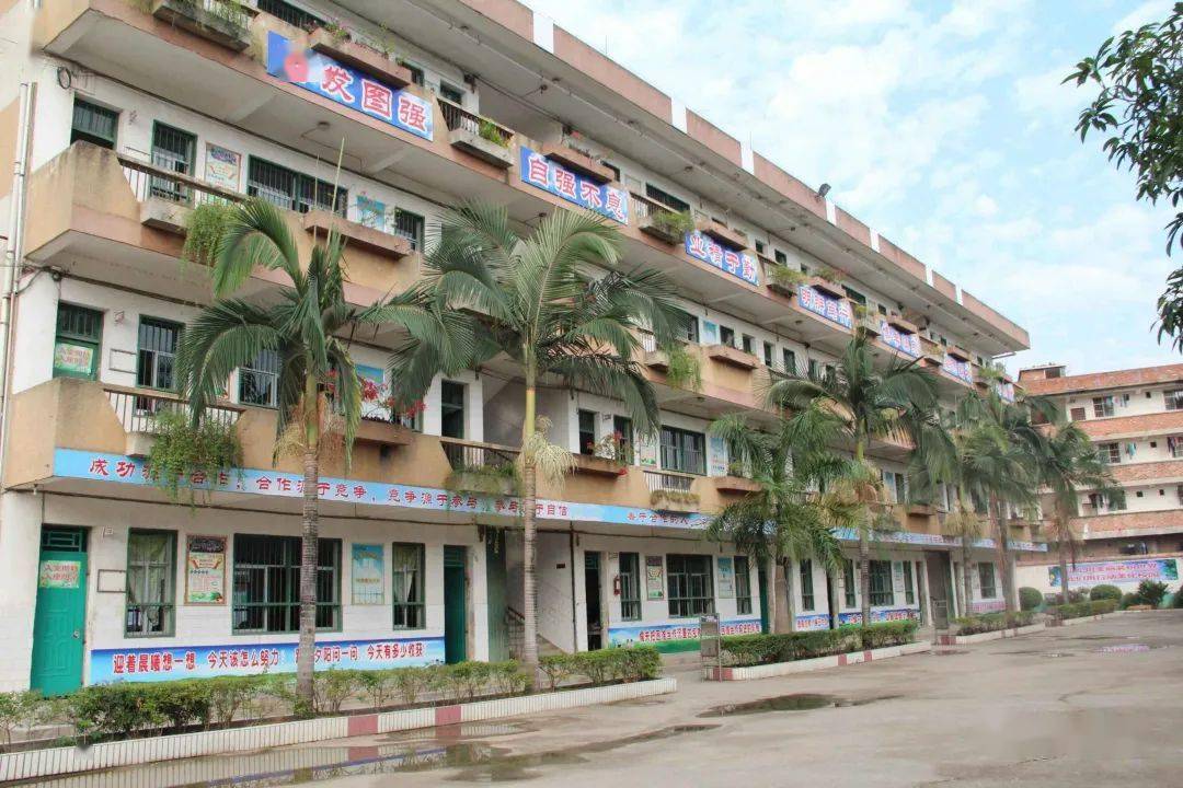 武鸣这些学校发生巨大变化快看有你的母校吗