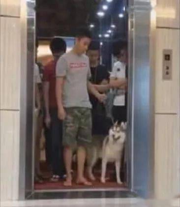 什么人不能坐电梯 f995b4238a6940af8e8947ce25c11df6.jpeg