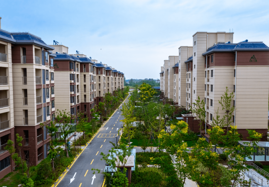 推进民生项目浦口正加速