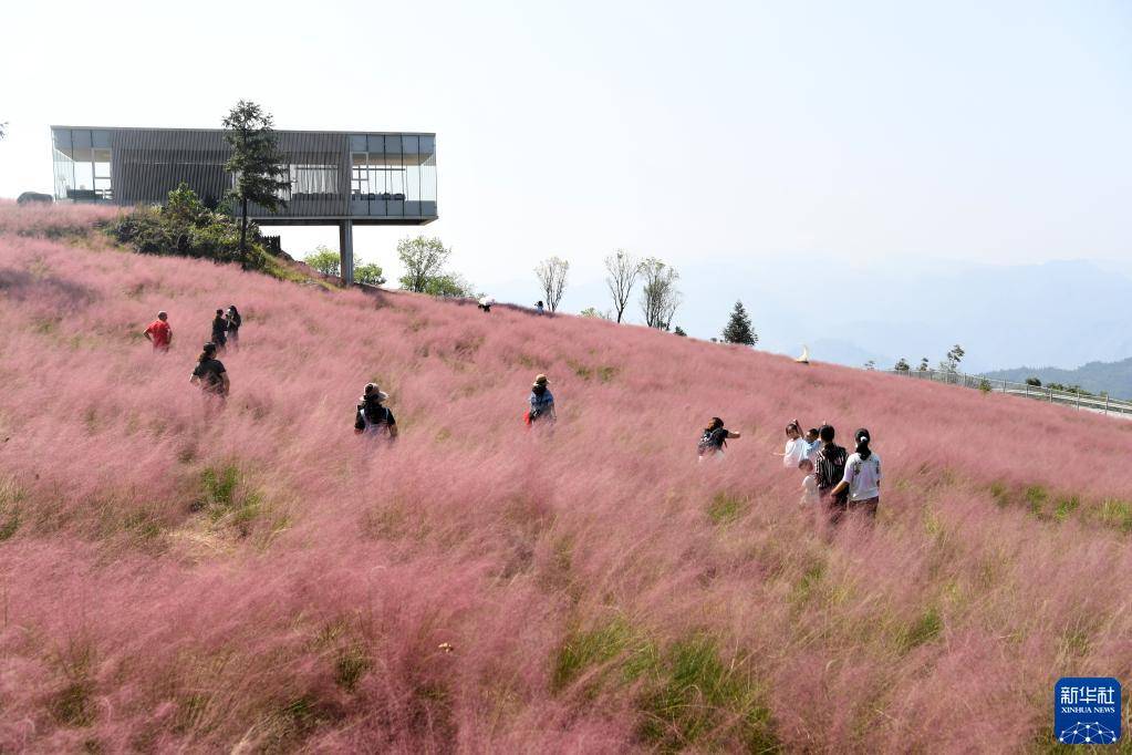 艺术|重庆：高山旅游助力乡村振兴