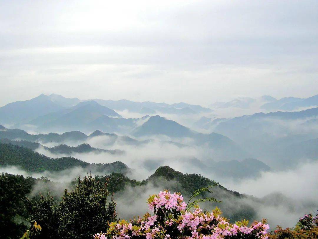 国庆去哪儿来常山走一场徒步登山古道之旅吧