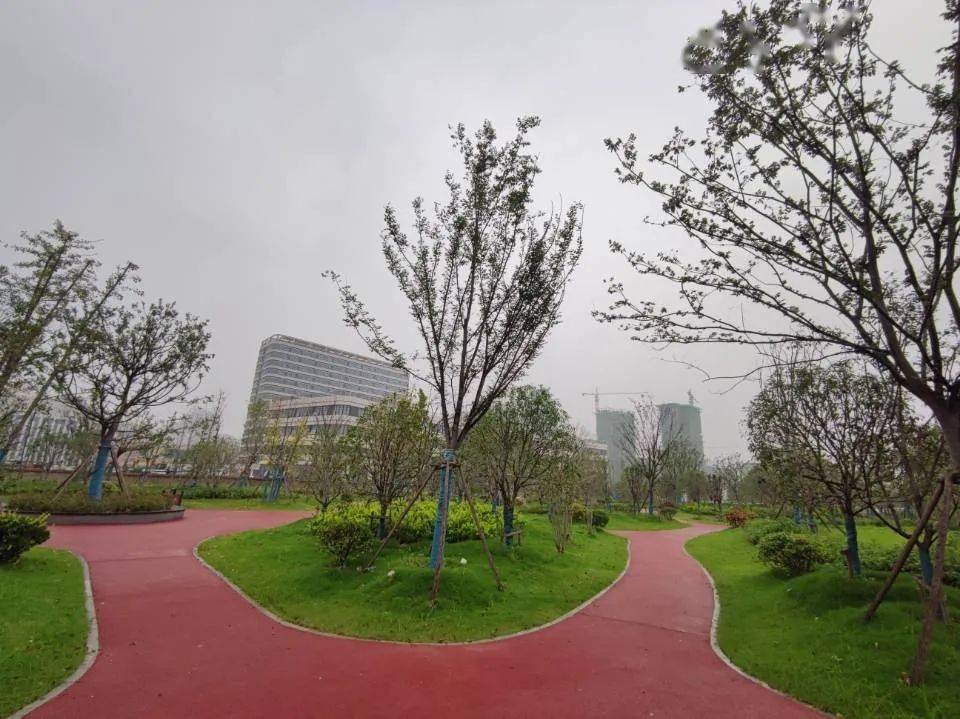 亳州市区又一游园建成开放，位置就在→